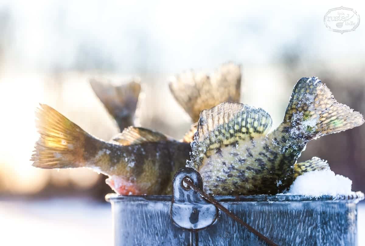 Gone Ice Fishin' | WI's Best Fish Fry Recipes | www.littlerustedladle.com