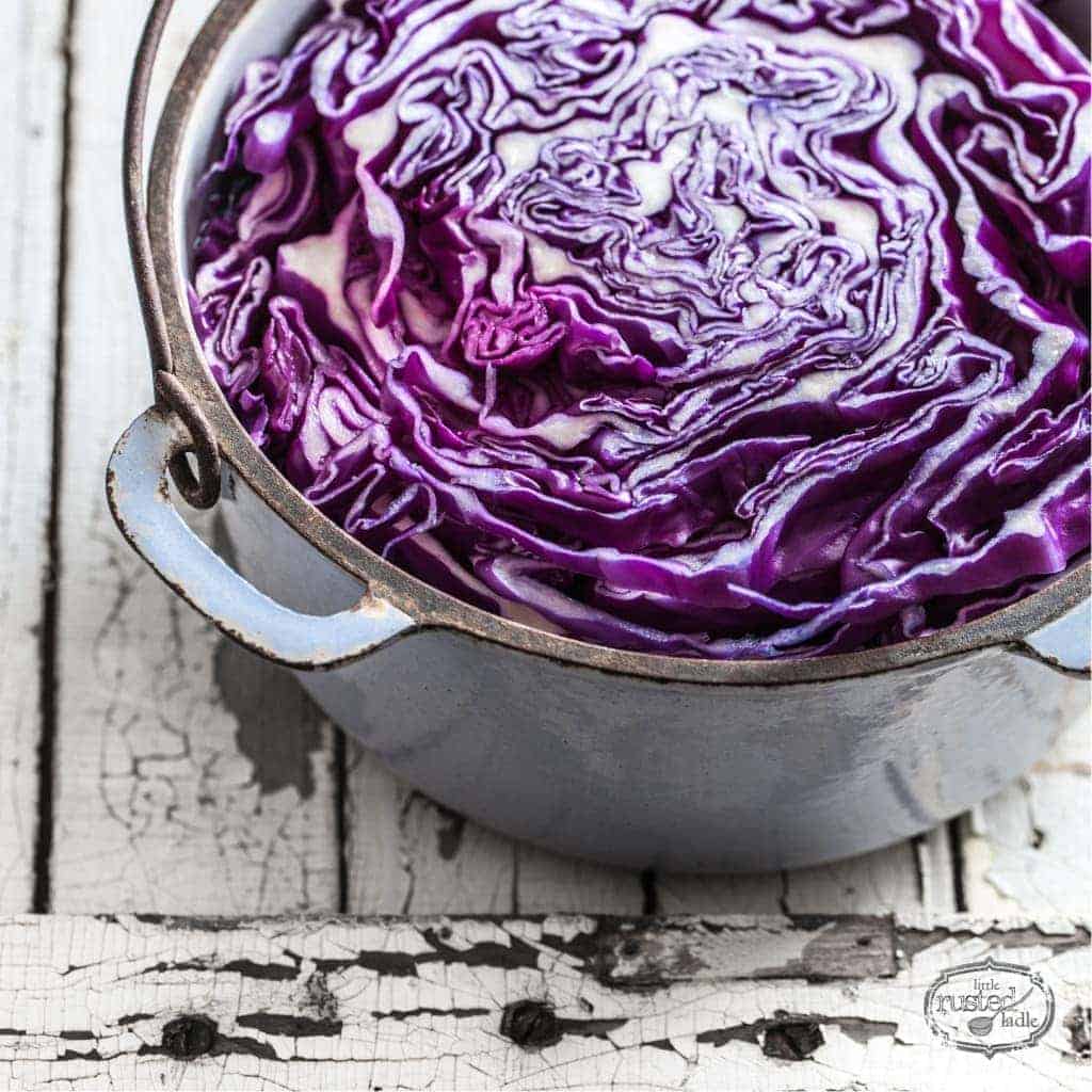 bright purple cabbage in a white metal pot