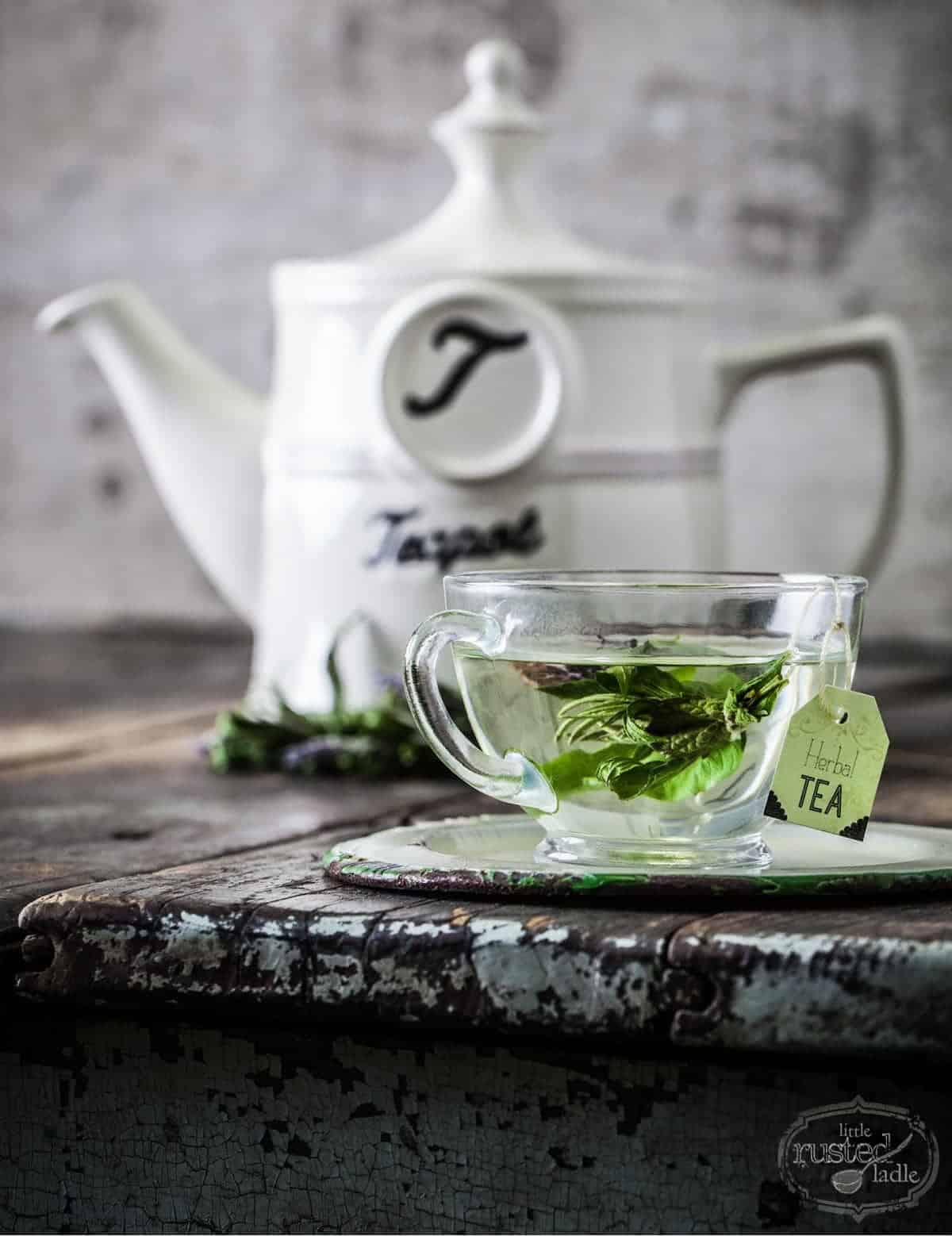 DIY Herbal Tea with homemade swag in clear teacup with white metal teapot behind. 