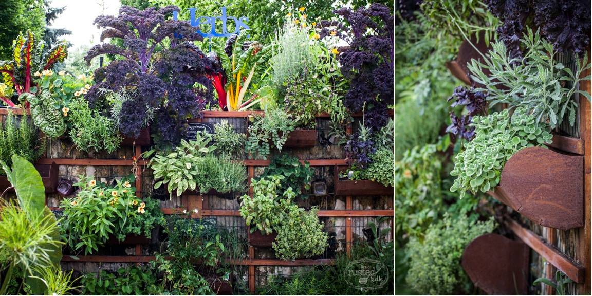 Herb Wall garden