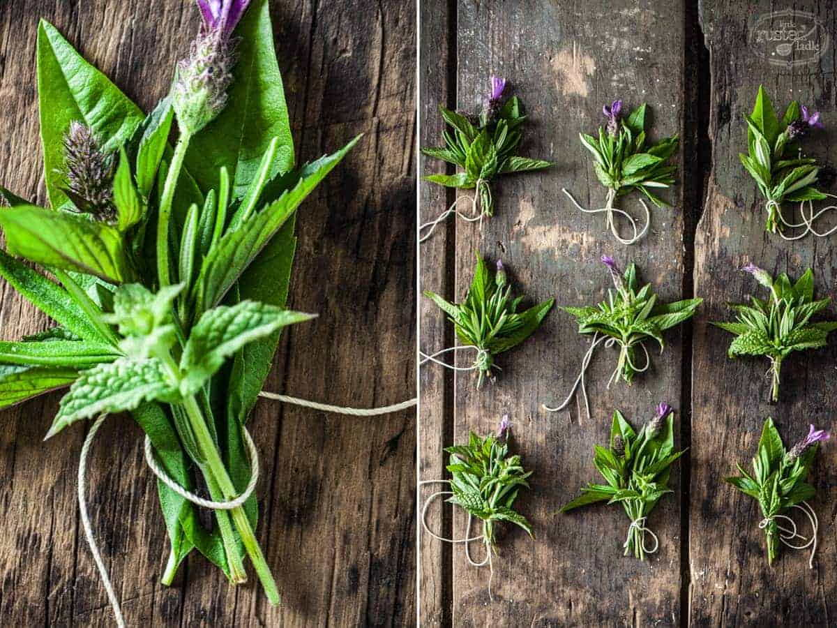 Small tea swags of herbs laid out to dry on wood surface. 