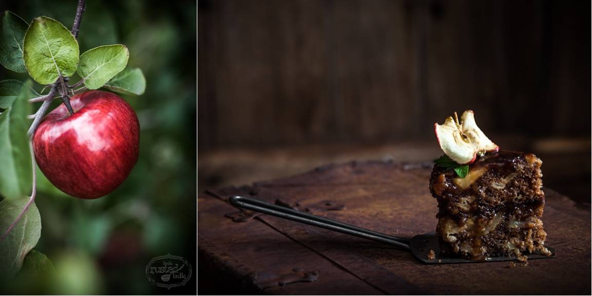 Apple Cider Cake Recipes_Little Rusted Ladle_Jena Carlin Photography_Rude on Food_8 96WM