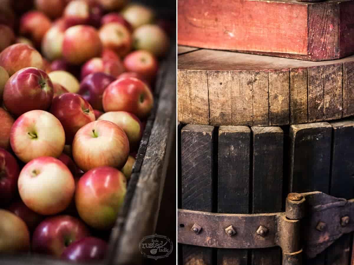 Apple Cider Pork Chop Recipes_Food Photographer_Little Rusted Ladle_Jena Carlin Photography_Rude on Food_3 96WM