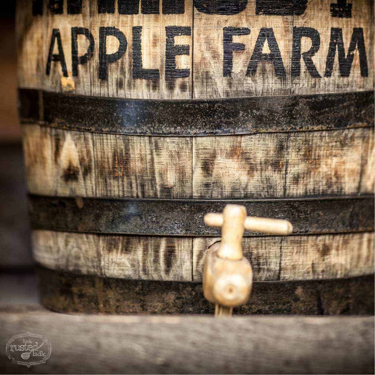 Apple Cider Pork Chop Recipes_Food Photographer_Little Rusted Ladle_Jena Carlin Photography_Rude on Food_4 96WM