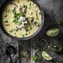 Coconut Curry Chicken Soup Recipe | www.littlerustedladle.com