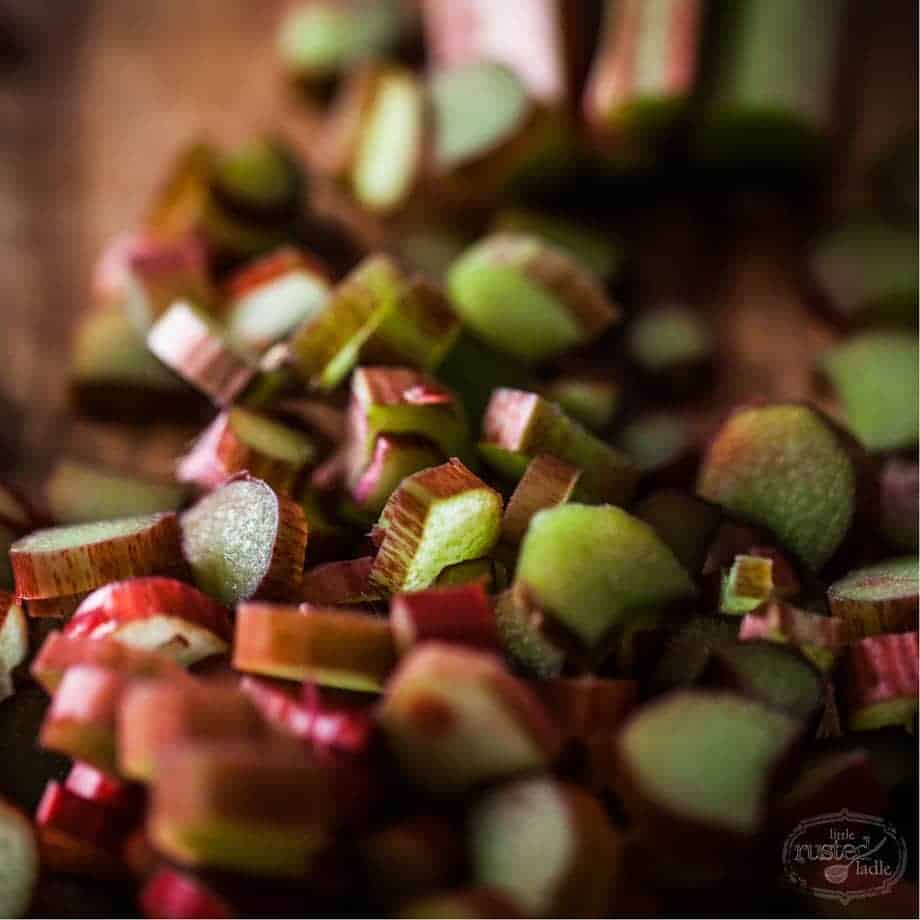 Rhubarb summer cocktail recipes | www.littlerustedladle.com #rhubarb #cocktails #foodphotography