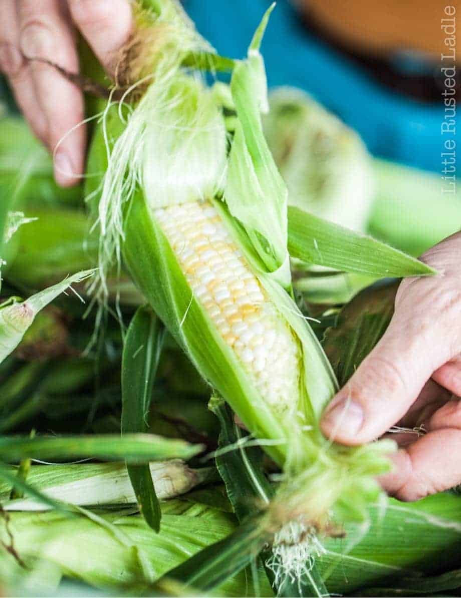 Pulling back the husk and silk on a fresh piece of white and yellow sweet corn