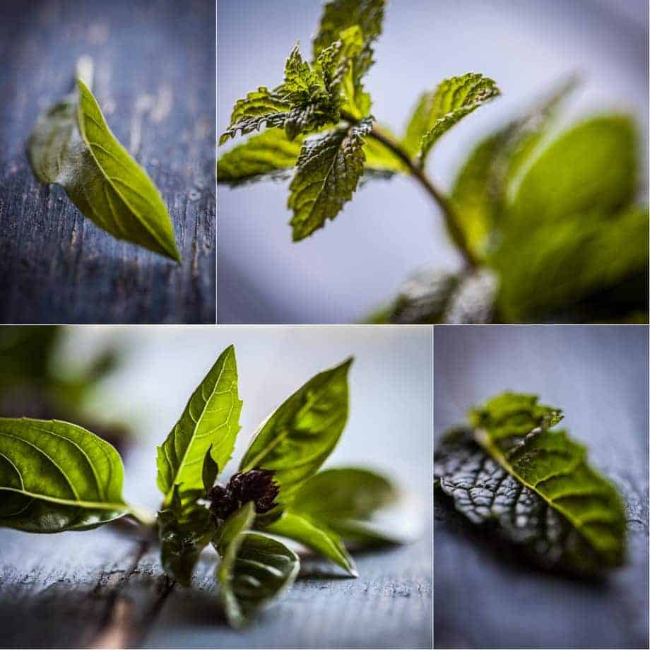 Mint and Basil Food Photography 