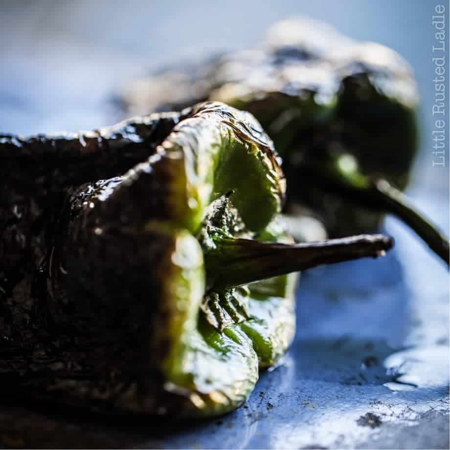 Close up of a roasted poblano pepper with moody lighting