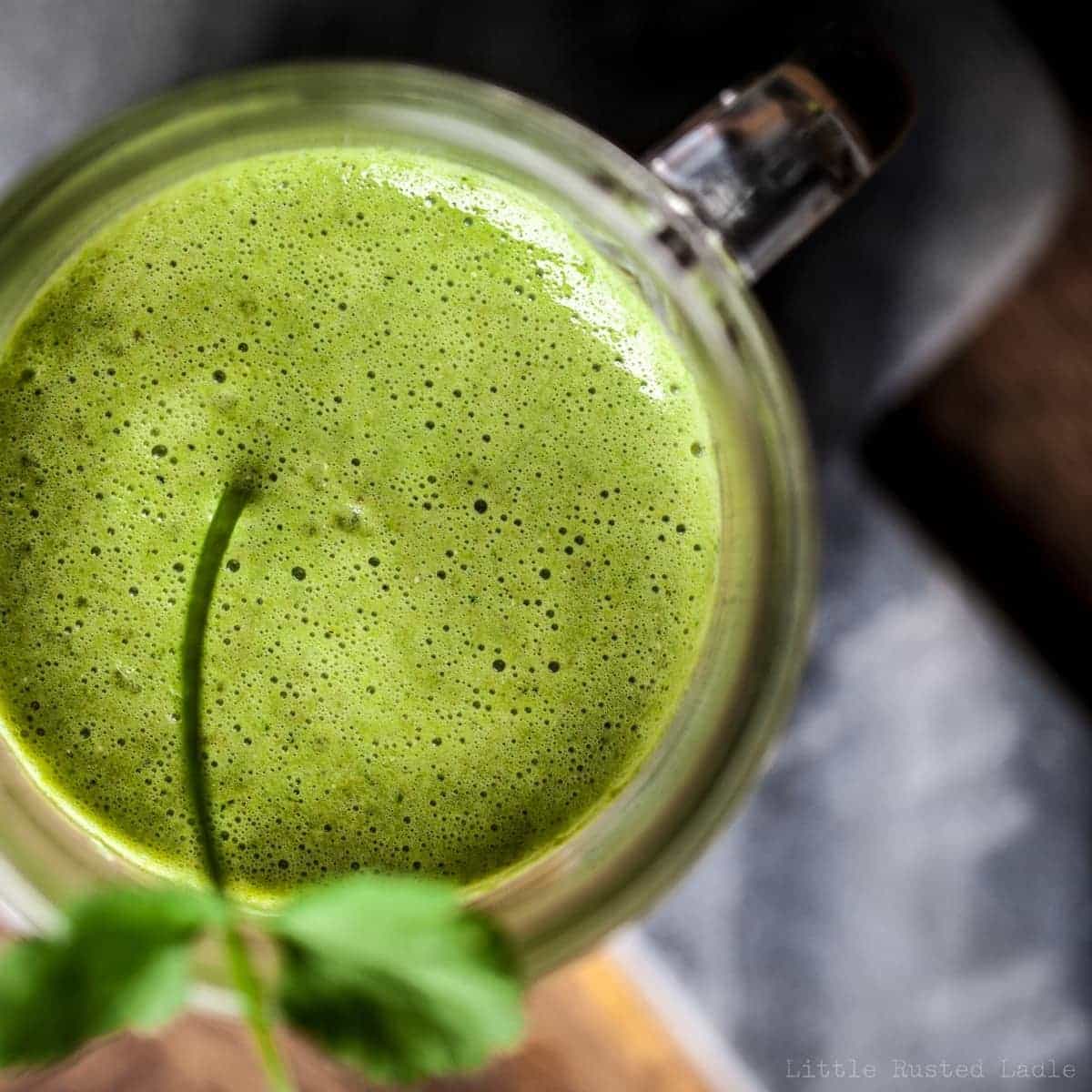 Heavy Metal Detox Green Smoothie - Little Rusted Ladle - Jena Carlin Photography - 031-web WM