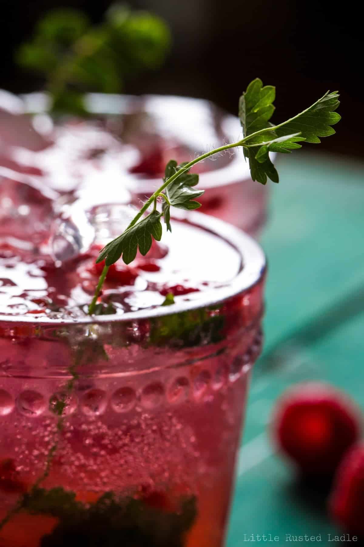 Raspberry Burnet Fizz - Little Rusted Ladle - Midwest - Wisconsin Summer 2016 - Jena Carlin Photography - WebWM-4