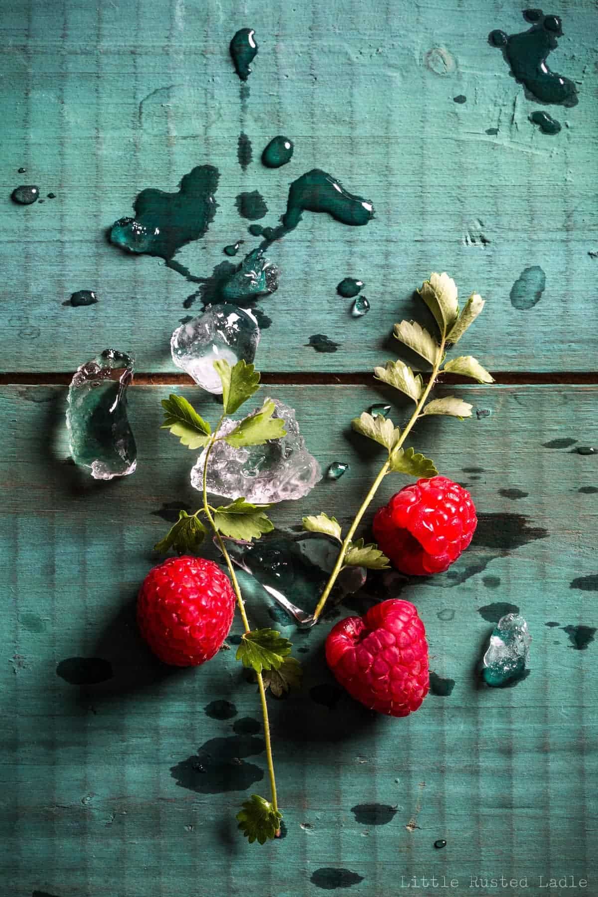 Raspberry Burnet Fizz - Little Rusted Ladle - Midwest - Wisconsin Summer 2016 - Jena Carlin Photography - WebWM-6