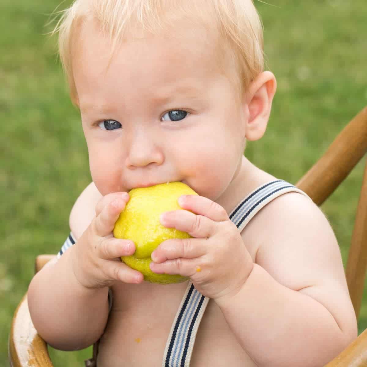 Adorable baby boy chewing on a whole lemon