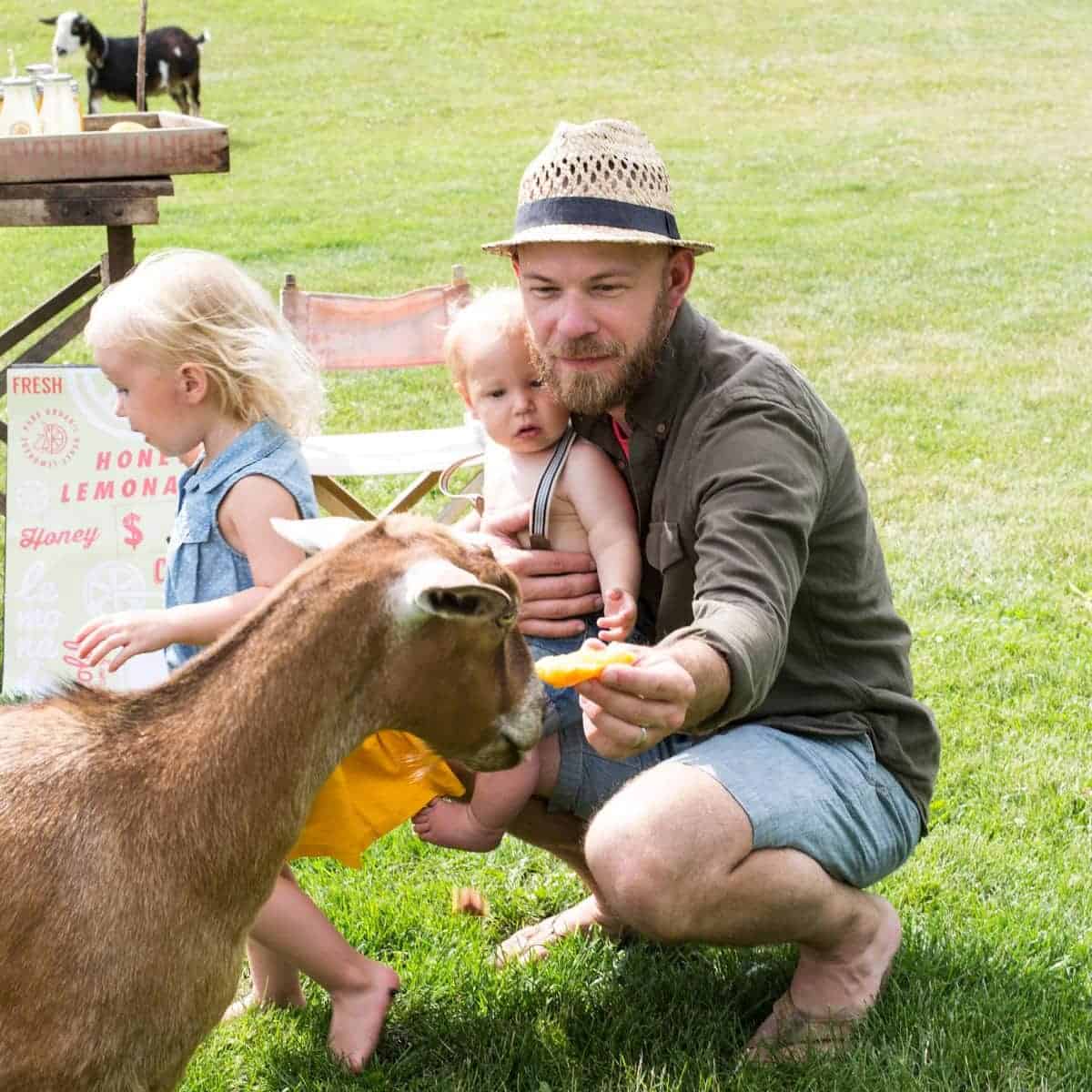 Dad holding young son and feeding a goat a piece of lemon
