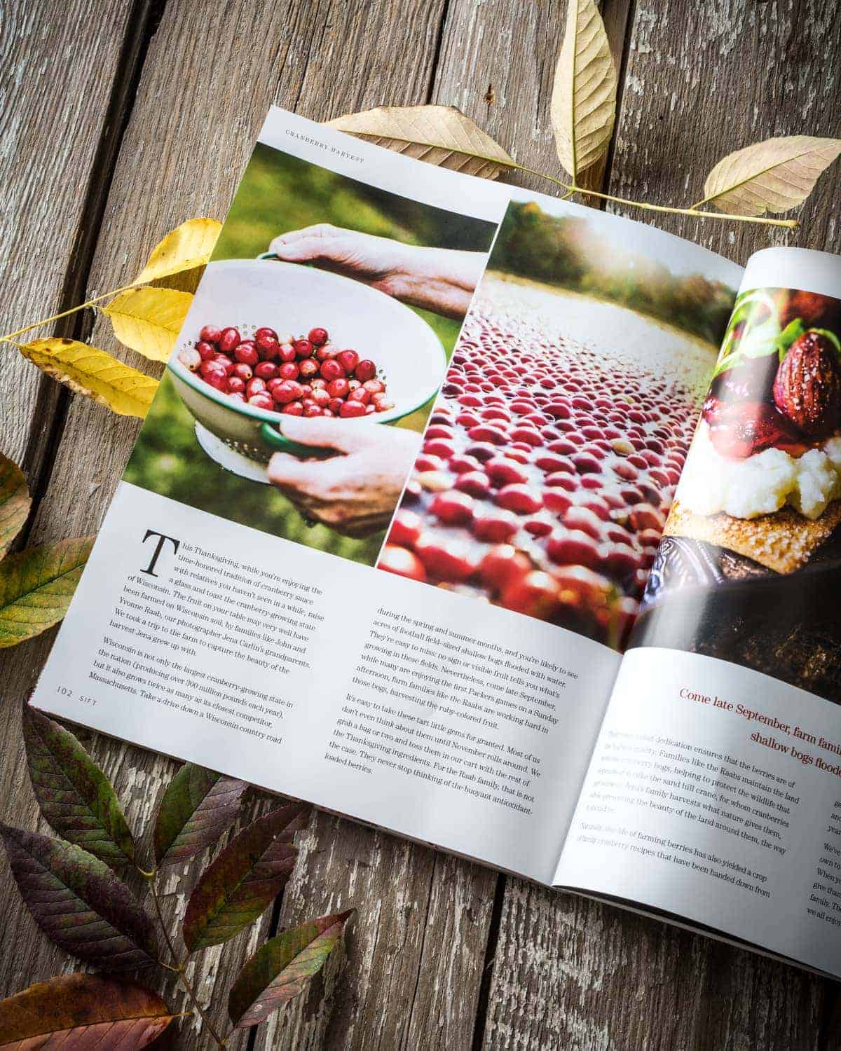 sift-fall-2016-feature-2-cranberry-harvest-little-rusted-ladle-jena-carlin-photography-web-2