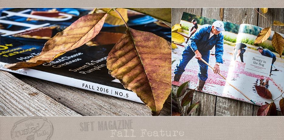 sift-magazine-fall-feature-cranberry-harvest-little-rusted-ladle-food-photography-webfb