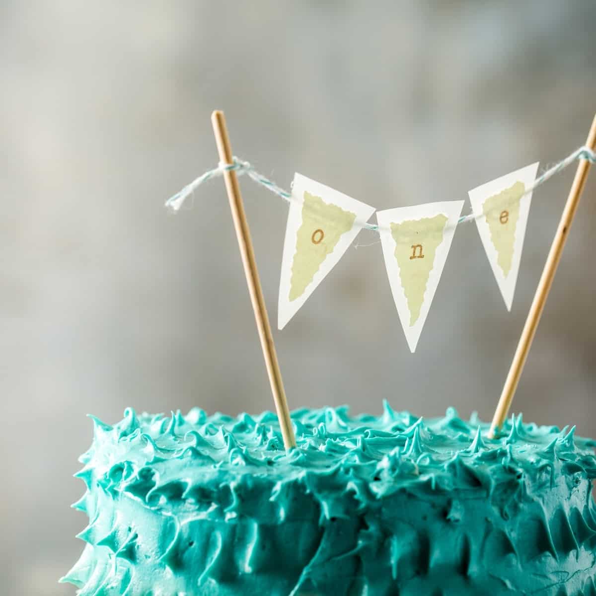 First Birthday Smash Cake - Fruit Sweetened for Babies