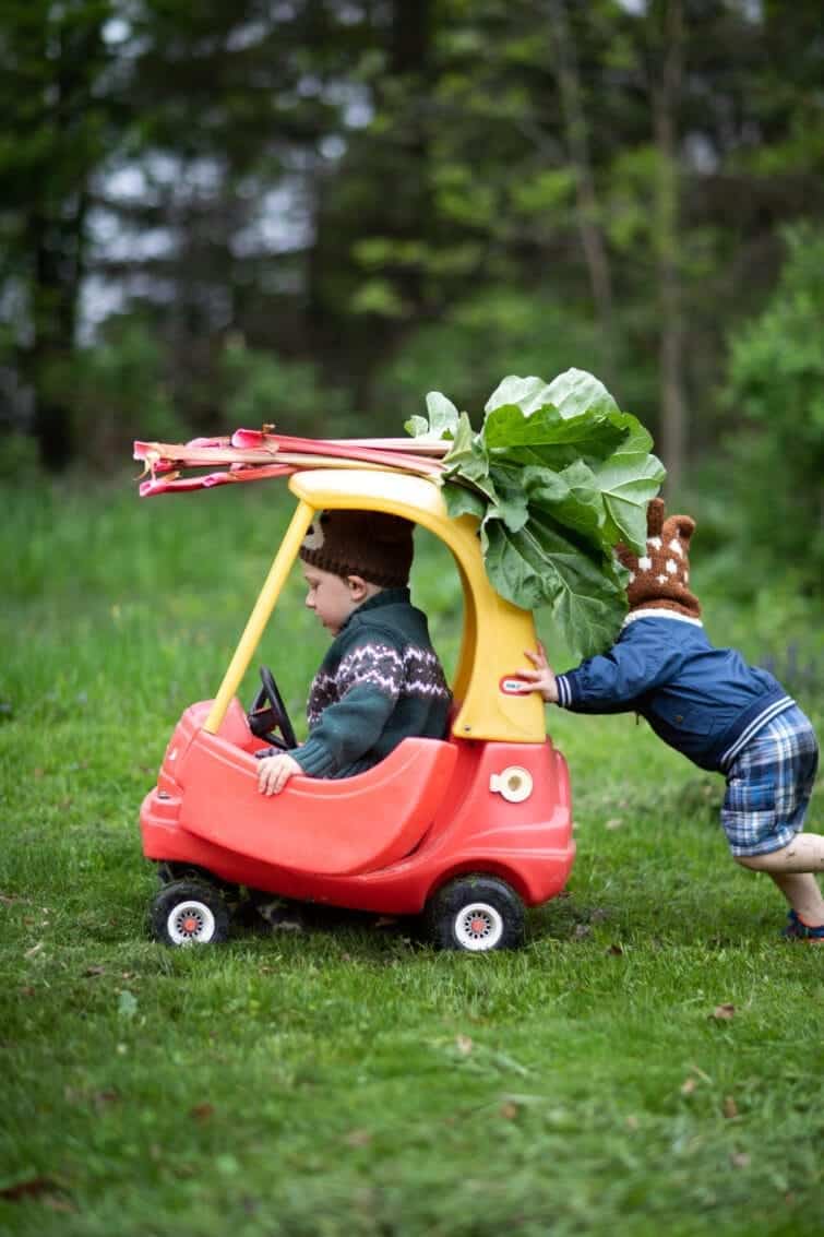 Two little boys pushing a little tykes car with large rhubarb stalks on the roof. rhubarb 