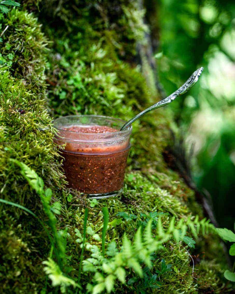 glass jar of strawberry rhubarb jam on a mossy stump highlighting a spring recipe.