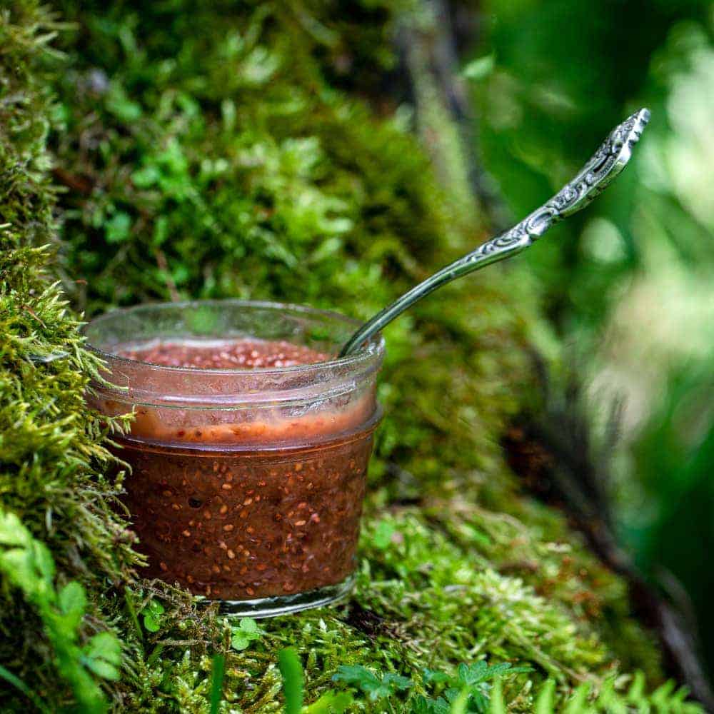 Strawberry Rhubarb Jam with Chia Seeds