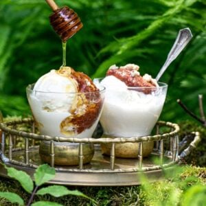 strawberry rhubarb jam on frozen yogurt with verdant bcakground
