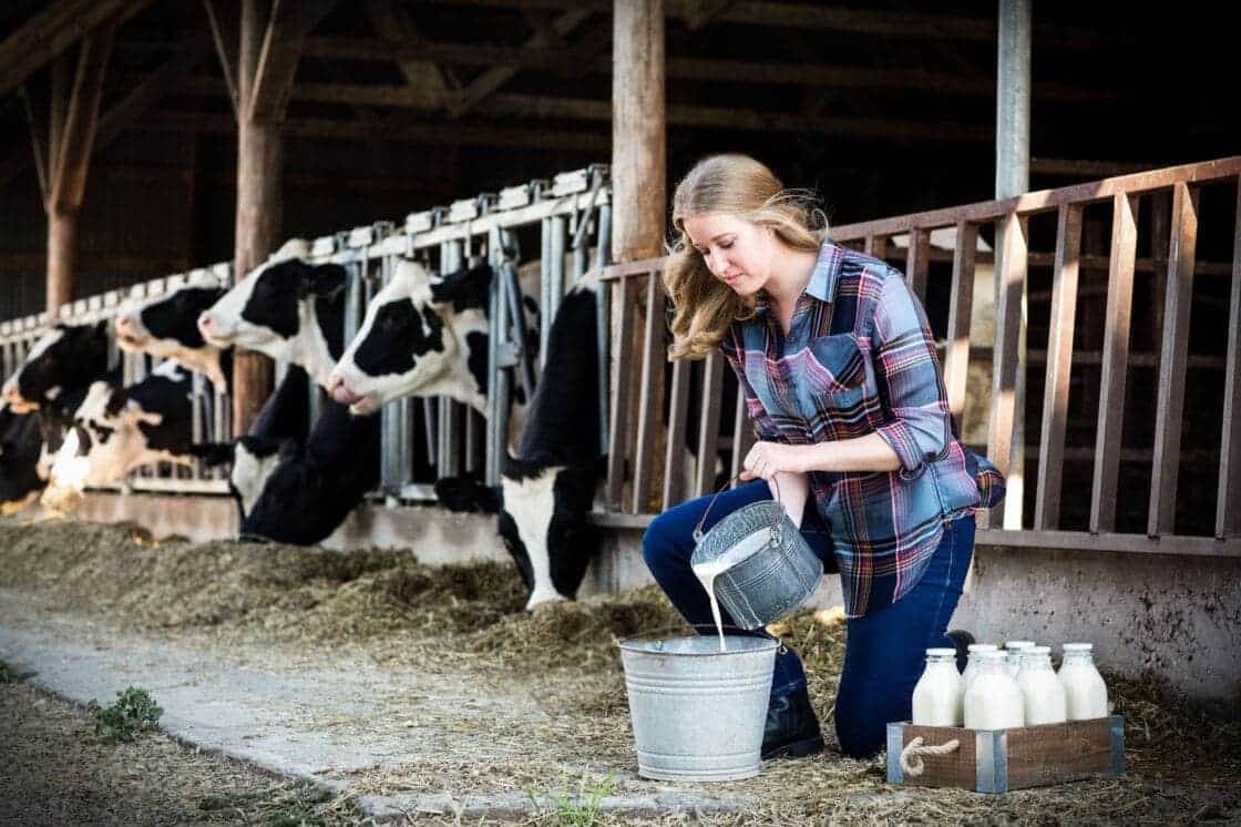 Female farmer kneeling in front of cow pen with a bucket of milk. 