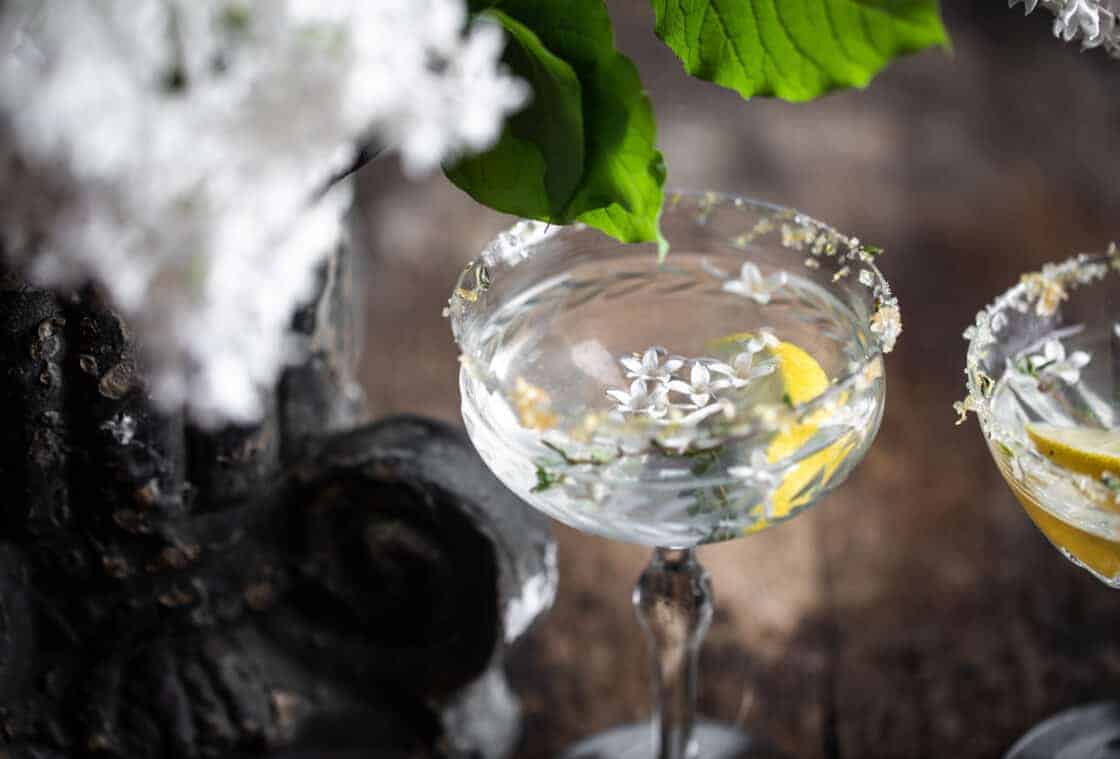 garnished drink photography lemon drop martini in rustic setting with thyme lemon zest and lilac on the rim of the class recipe