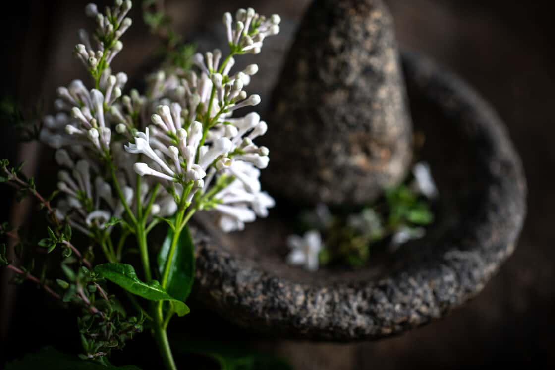 beauty shot of mortar and pestle grinding white lilacs thyme herb in rustic setting 