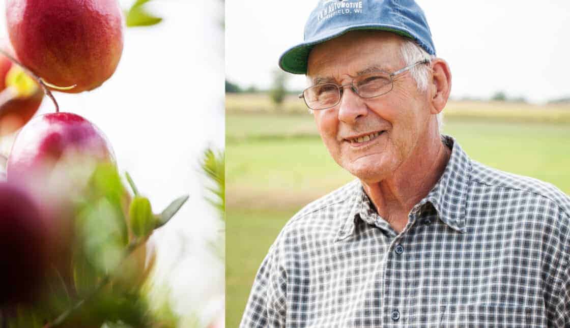 split photo of Grandpa farmer and close up artsy photo of apples on tree