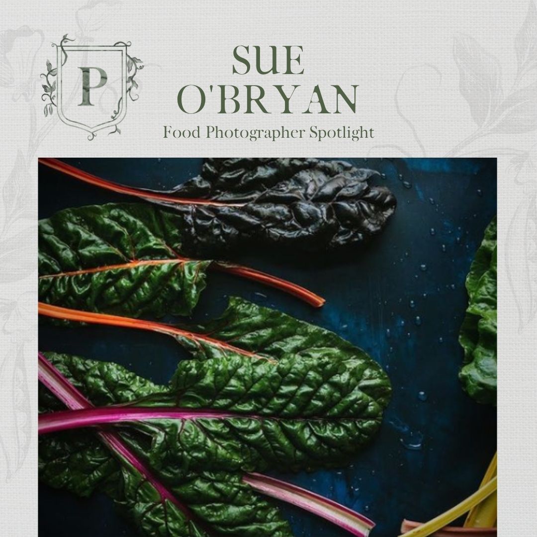 Portfolio to Profit photographer spotlight sue o'bryan